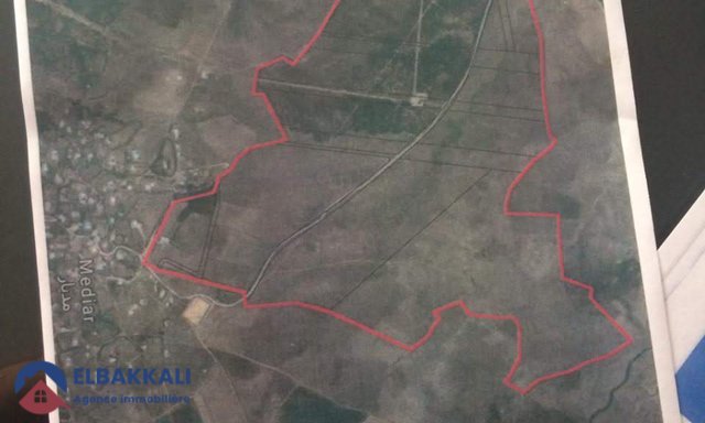 Terrain Agricole Titré à Vendre à Tanger 183ha — Tanger - 2