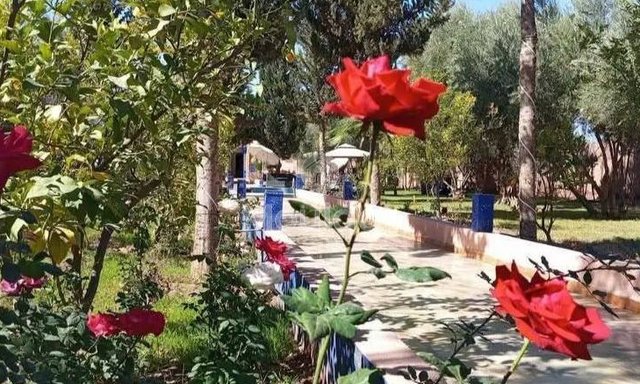 Villa d'Exception à Marrakech : Luxe, Piscine et Confort - 6