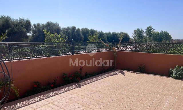 Vendre Villa de Luxe à Marrakech: 10,000 m² de Paradise - 19