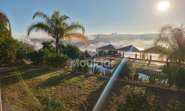 Ausgezeichnete Villa in Rabat-Agdal mit Pool und luxuriösem Garten - 7