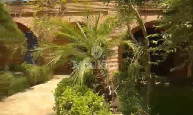 رياض فاخر في أصيلة: اهرب إلى الراحة - 3