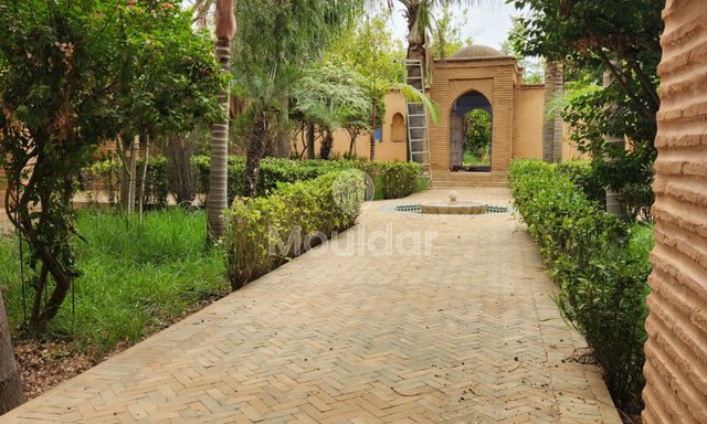 رياض فاخر في أصيلة: اهرب إلى الراحة