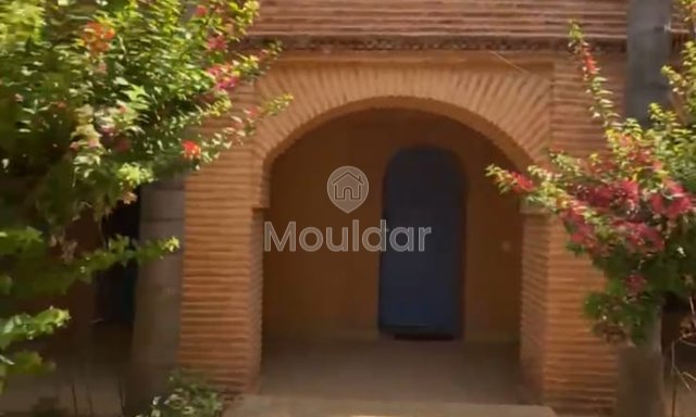 رياض فاخر في أصيلة: اهرب إلى الراحة - 2