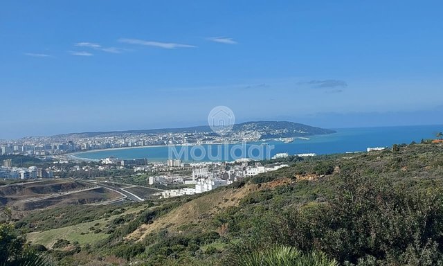 Villa Plot for Sale: 4000 m² in Nouinouiche