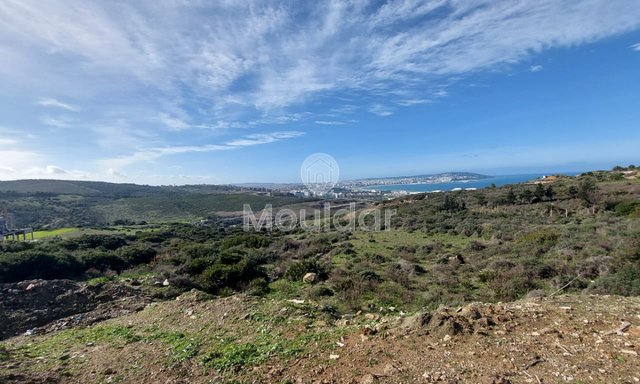 Villa Plot for Sale: 4000 m² in Nouinouiche - 2