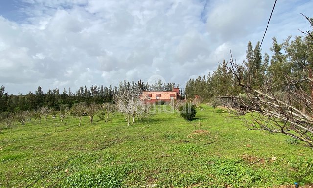 مزرعة للبيع في الرباط