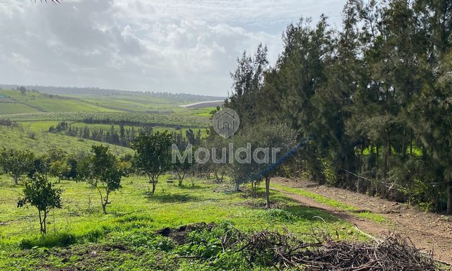 مزرعة للبيع في الرباط - 3