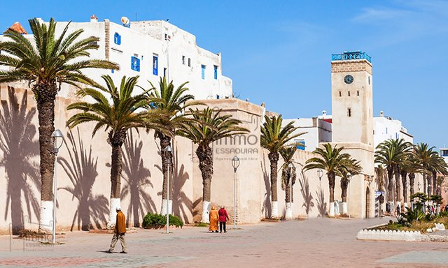 Vente Terrain Titré Face Mer à Essaouira – 360 - 2