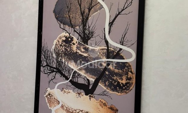 Studio à louer à Casablanca, Oasis - 3