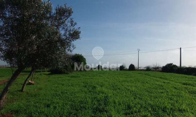 Land for sale in Oulad Frej - 3