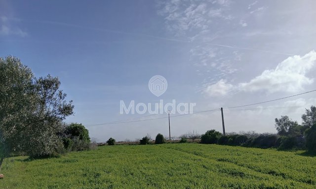 Land for sale in Oulad Frej
