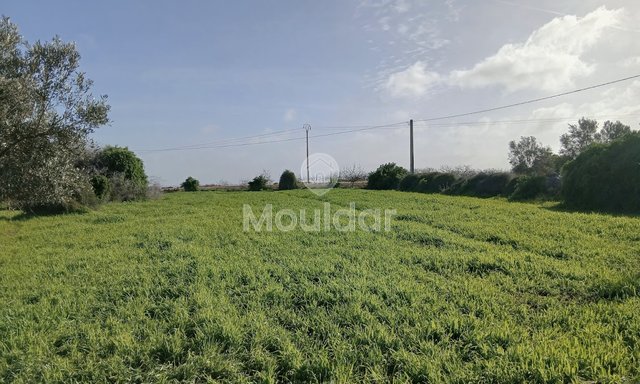 Land for sale in Oulad Frej - 2