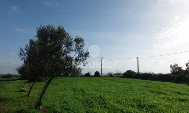 Land for sale in Oulad Frej - 4