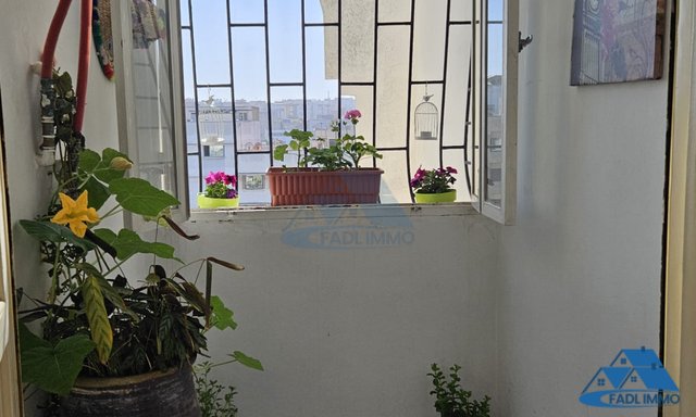 VENTA APARTAMENTO EN TEBRIQUET VENDIDO - 3