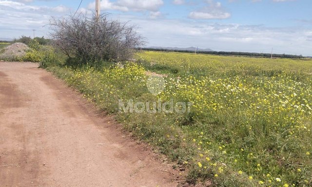 Οικόπεδο προς πώληση στο Μαρακές, Οδός Ουαζαζάτε