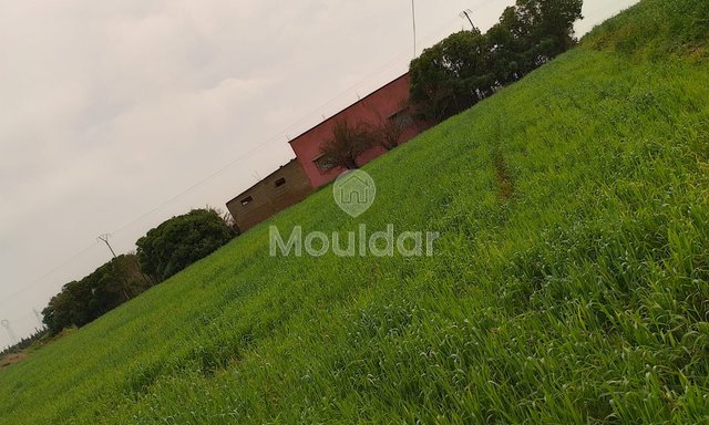 Terreno in vendita a Mohammedia