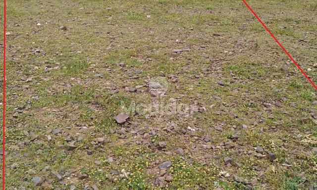 Οικόπεδο προς πώληση στη Μπεν Γκερίρ