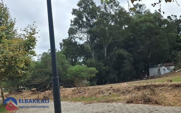 Terrain à Boubana Tanger pour construction villa