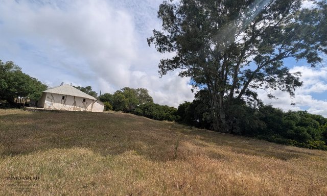 🏡 TERRAIN TITRÉ DE 11 716 M² À VENDRE –  RÉGION D’ASILAH 