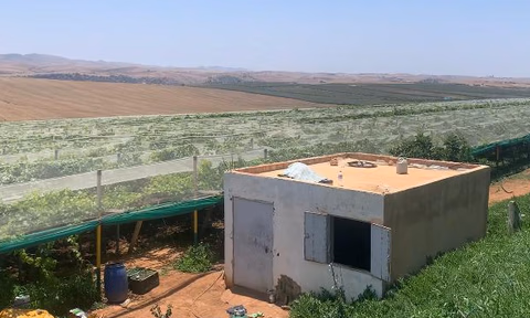 مزرعة للبيع