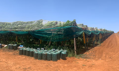 مزرعة للبيع