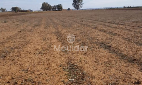 أرض للشراء لاستغلال زراعي