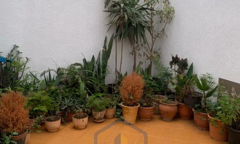 Maison à vendre avec terrasse et deux étages