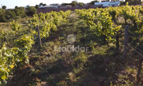 مزرعة محفظة للبيع لاستغلال زراعي