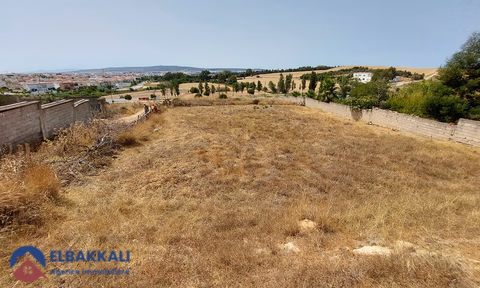 Grond met titel te koop