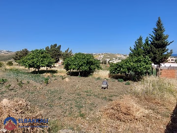 Οικόπεδο με τίτλο προς πώληση
