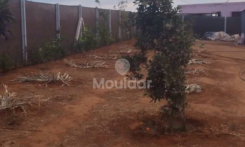 أرض محفظة للشراء لاستغلال زراعي