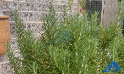 Villa for sale with terrace and two floors