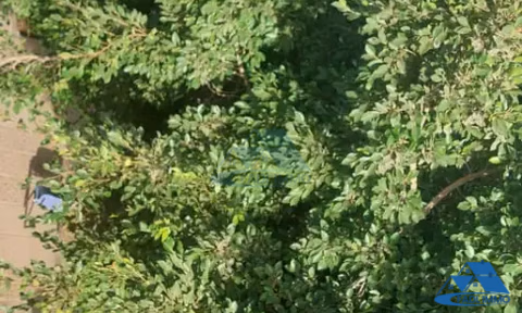 Bureau à louer avec parking au premier étage