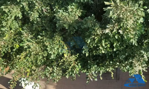 Bureau à louer avec parking au premier étage