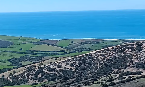 Działka z tytułem na sprzedaż