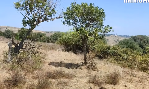 Titled land for sale for agricultural use