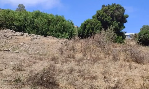 أرض محفظة للبيع لاستغلال زراعي