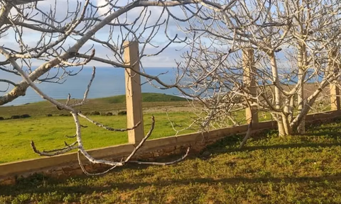 أرض محفظة للبيع لاستغلال زراعي