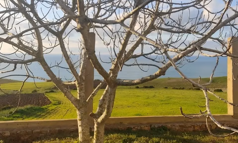 Titled land for sale for agricultural use