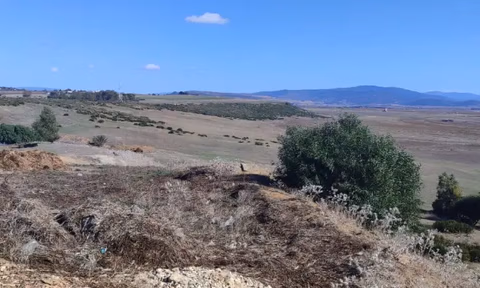 Titled land for buy for industrial activity