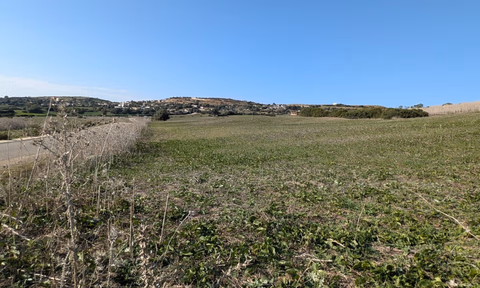 Titled land for buy for agricultural use