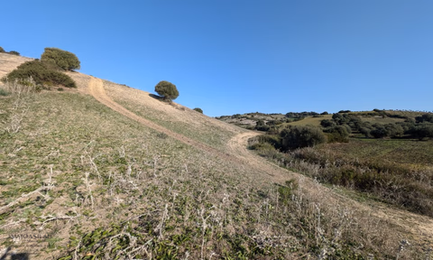 Titled land for buy for agricultural use