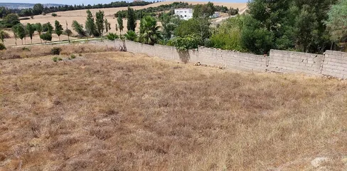 Terrain à vendre