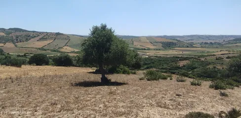 Terrain à vendre