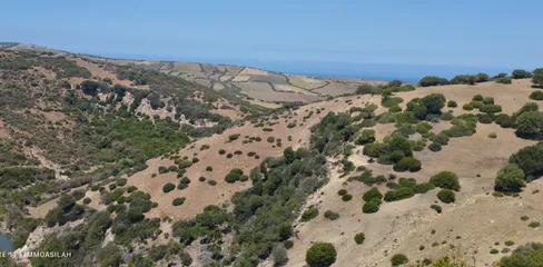 Terrain à vendre