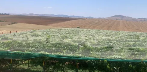 Ferme à vendre