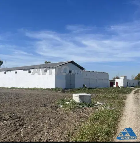 Ferme à vendre