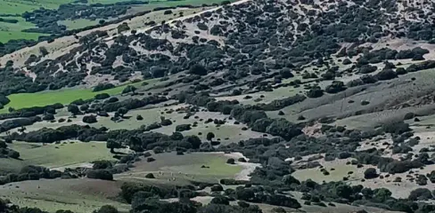 Terrain à vendre