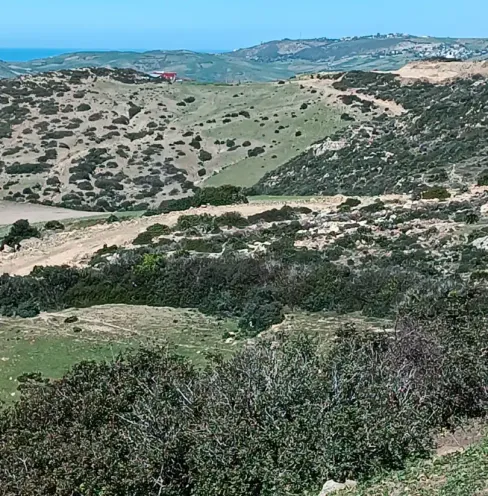 Terrain à vendre