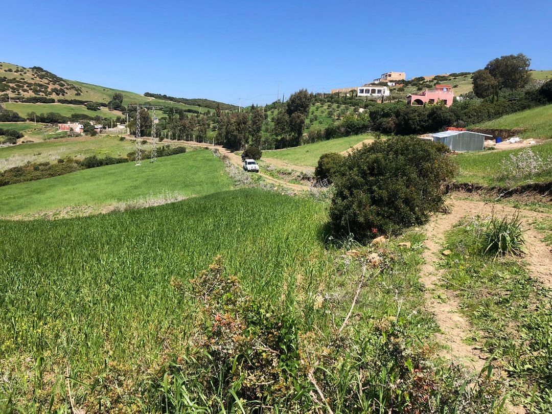 أرض للبيع - Photo 4